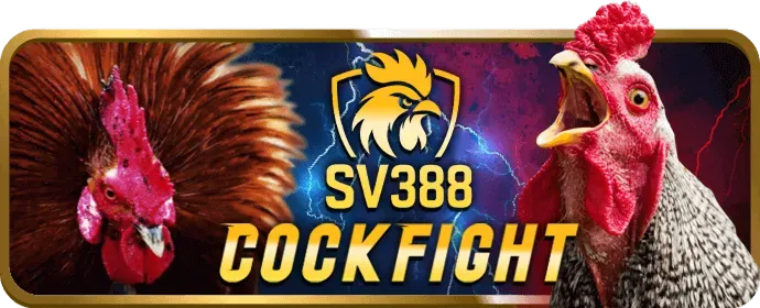 Cá cược thể thao hb888